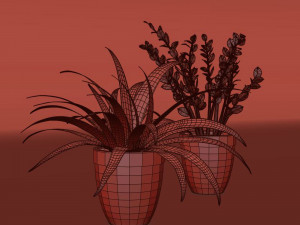 plant collection 9 Modello 3D