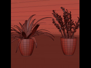 plant collection 9 Modello 3D