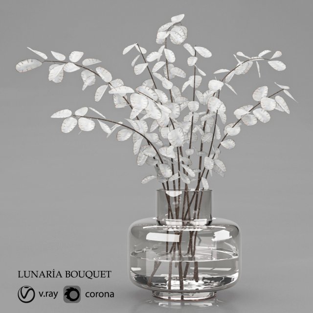 lunaria bouquet 9 3D Model .c4d .max .obj .3ds .fbx .stl .blend 