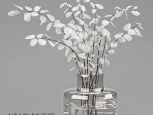 lunaria bouquet 9 3D Model