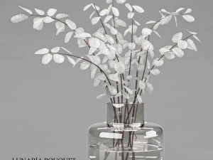 buqu&ecirc; lunaria 9 Modelo 3D