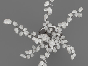 lunaria bouquet 9 3D Model
