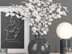 conjunto decorativo com lunaria Modelo 3D