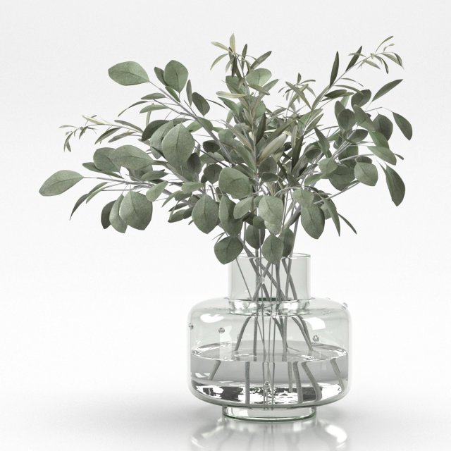 bouquet of eucalyptus and olive branch 3D Model .c4d .max .obj .3ds .fbx .stl .blend 