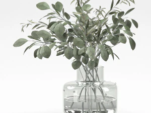 buquê de eucalipto e ramo de oliveira Modelo 3D