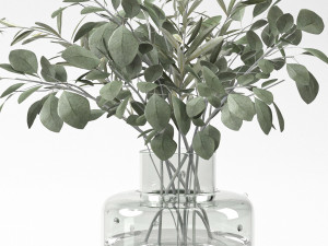 bouquet of eucalyptus and olive branch 3D Model