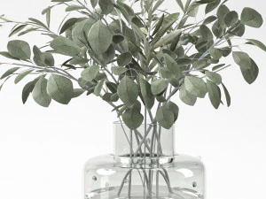 buqu&ecirc; de eucalipto e ramo de oliveira Modelo 3D