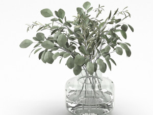 bouquet of eucalyptus and olive branch 3D Model