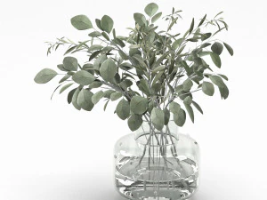 buqu&ecirc; de eucalipto e ramo de oliveira Modelo 3D