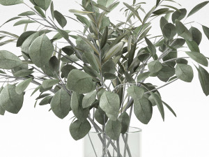 bouquet of eucalyptus and olive branch 3D Model