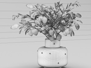 bouquet of eucalyptus and olive branch 3D Model