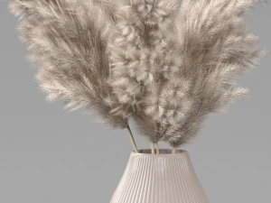 pampas bouquet 3D Model