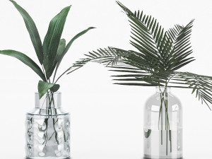 plant collection 6 3D 模型