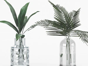 plant collection 6 3D Model