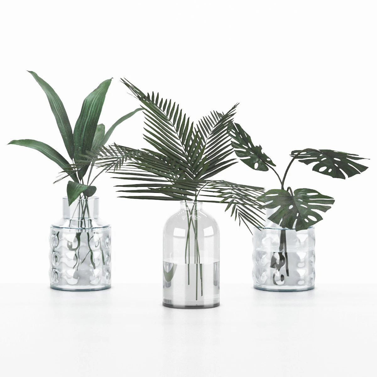 plant collection 6 3D Model .c4d .max .obj .3ds .fbx .stl .blend