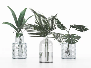 cole&ccedil;&atilde;o de plantas 6 Modelo 3D