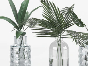 plant collection 6 3D Model