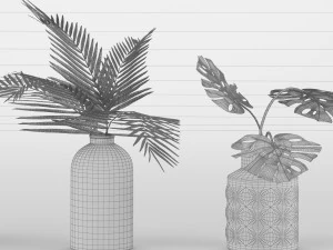 plant collection 6 3D Model