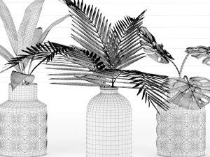 plant collection 6 3D Model