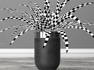 Indoor and outdoor spider plant Modelo 3D