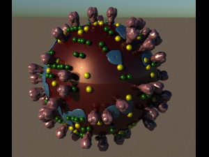 covid-19 3D Model