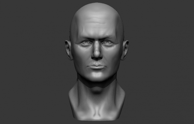 male bust 3d - printing ready model 3D 打印模型 .c4d .max .obj .3ds .fbx .stl .blend 