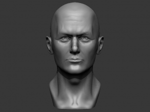 male bust 3d - printing ready model 3D Принт Модель