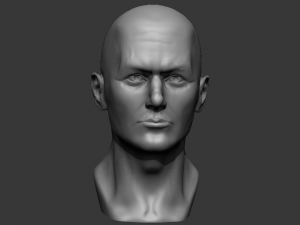 male bust 3d - printing ready model 3D 打印模型
