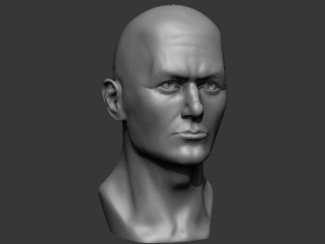 male bust 3d - printing ready model 3D 打印模型