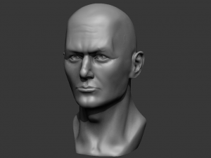 male bust 3d - printing ready model 3D 打印模型