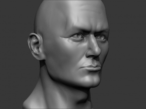 male bust 3d - printing ready model 3D 打印模型