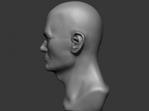 male bust 3d - printing ready model 3D 打印模型