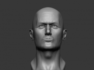 male bust 3d - printing ready model 3D 打印模型