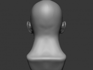 male bust 3d - printing ready model 3D 打印模型