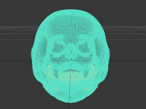skull Modèle 3D