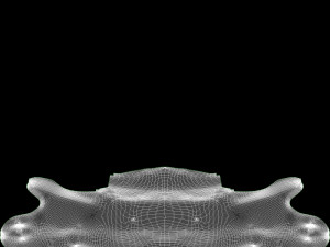 skull Modèle 3D