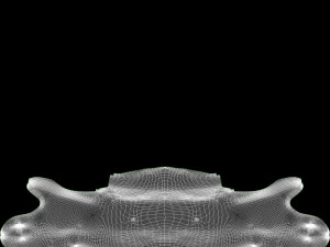 cr&acirc;nio Modelo 3D