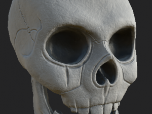 human skull 3D-Modell