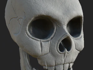 tengkorak manusia Model 3D