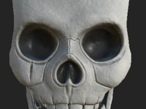 human skull 3D-Modell