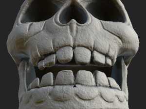 human skull 3D-Modell