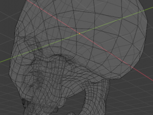 human skull 3D-Modell
