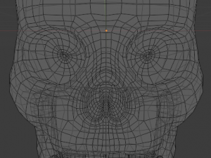 human skull 3D-Modell