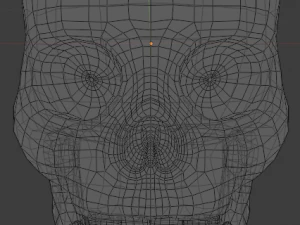 human skull 3D Model