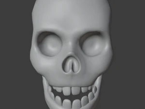 human skull 3D Model