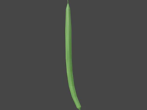 20 vegetables - low poly flat shaded 3D Model