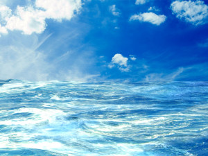 sea animated Model 3D