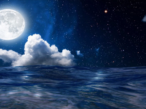 sea animated Model 3D
