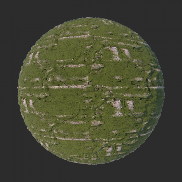 brick wall with moss CG Textures .c4d .max .obj .3ds .fbx .stl .blend 