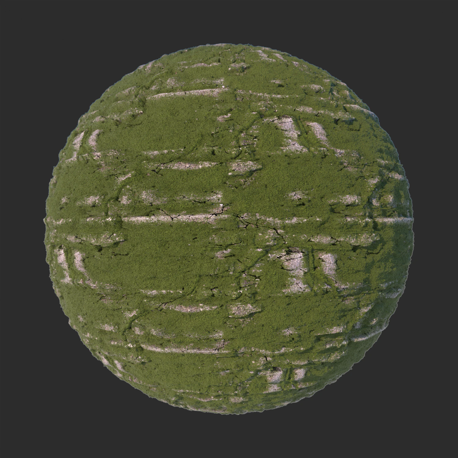 brick wall with moss CG Textures .c4d .max .obj .3ds .fbx .stl .blend